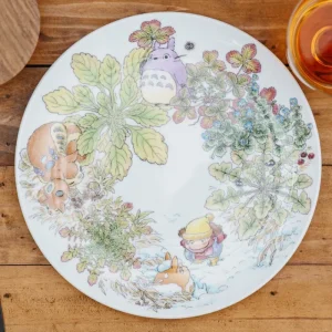 Store Assiette 23 cm Totoro Ooinuhugri - Mon Voisin Tororo Cuisine Et Table