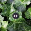 Hot Broche Cannetille Noiraude - Mon voisin Totoro Pins