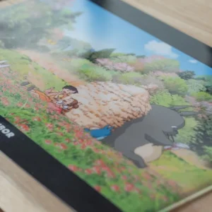 Best Chemise A4 Fin de journée - Mon Voisin Totoro Classement