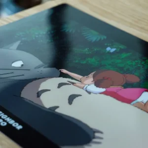 Best Chemise A4 Sur le ventre - Mon Voisin Totoro Classement