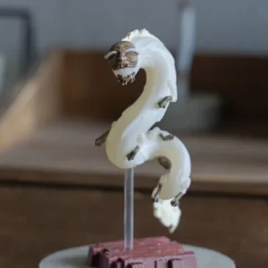 Shop Collection Dieux D'Unabara 1 Figurine Mystère - Le Voyage de Chihiro Figurines