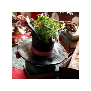 Sale Planter Epouvantail - Le Château ambulant Décoration
