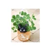 Sale Planter Jiji - Kiki la petite sorcière Décoration