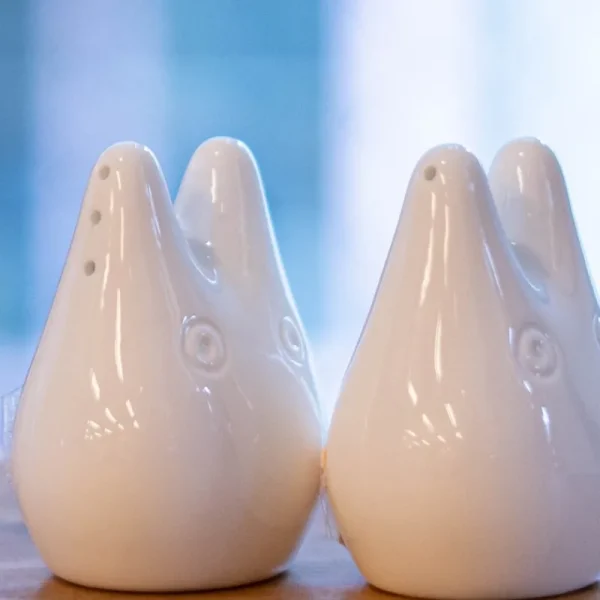 Shop Salière et Poivrière Totoro – Mon Voisin Totoro Cuisine Et Table