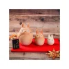 Clearance Trois Statuettes Totoro Shigaraki - Mon Voisin Totoro Statues